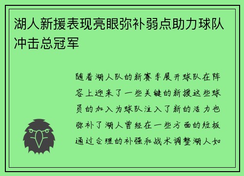 湖人新援表现亮眼弥补弱点助力球队冲击总冠军