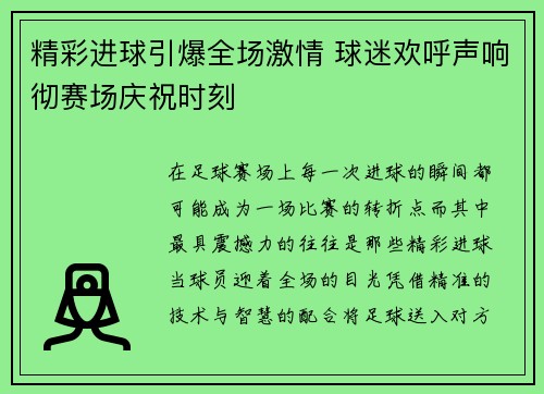 精彩进球引爆全场激情 球迷欢呼声响彻赛场庆祝时刻