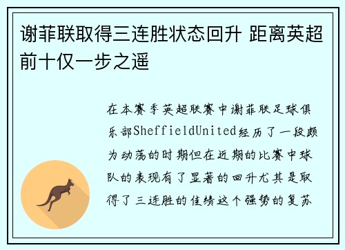 谢菲联取得三连胜状态回升 距离英超前十仅一步之遥