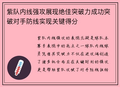 紫队内线强攻展现绝佳突破力成功突破对手防线实现关键得分